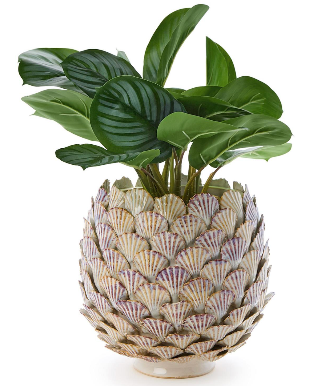 Fan Shell Planter